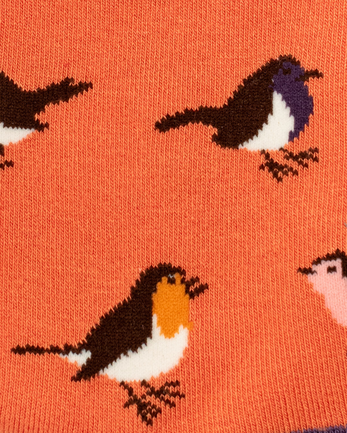 Miss Sparrow - Bambus Socken mit Motiv - Multicolour Robins