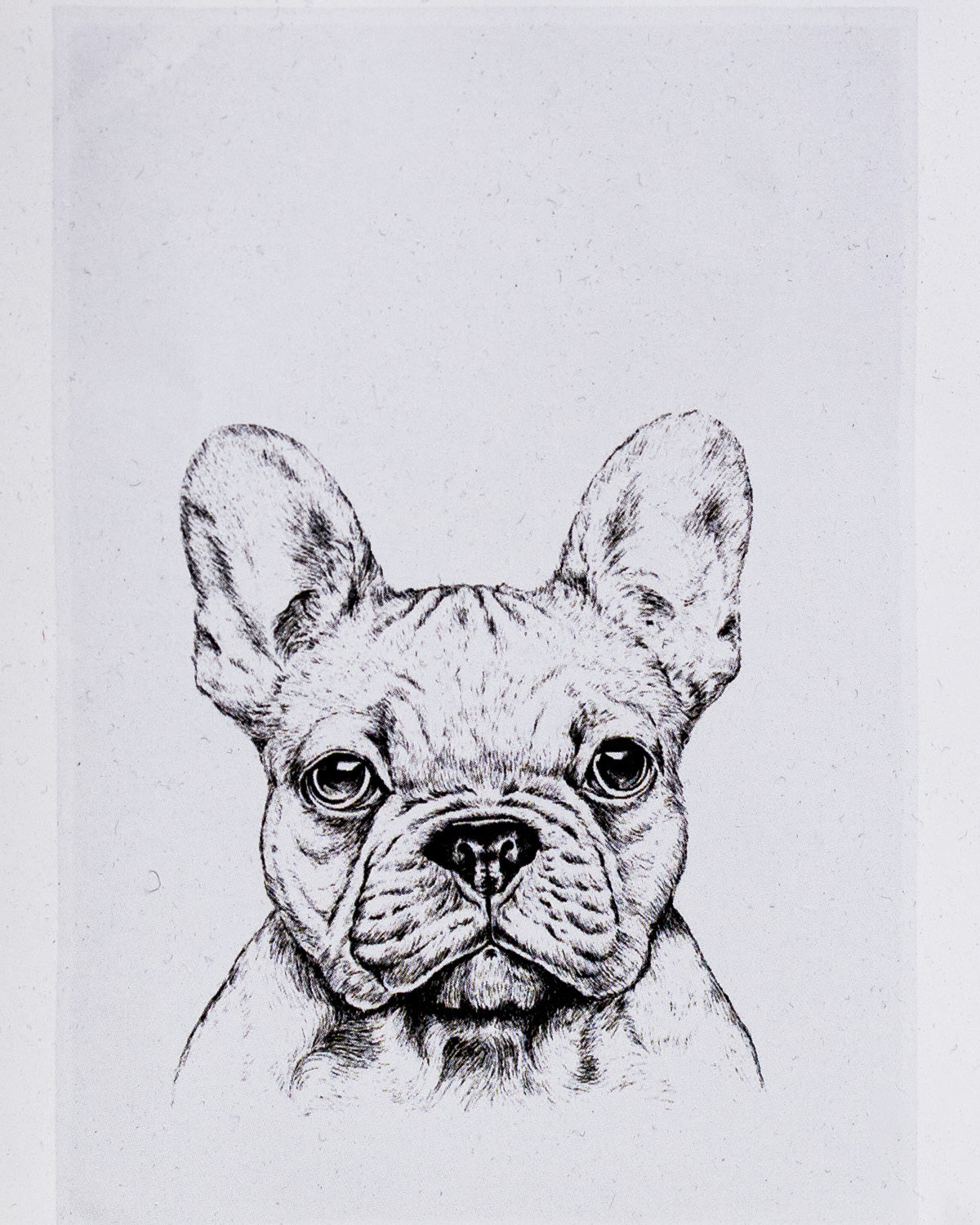 Geschirrtuch weiß - Hund Portrait