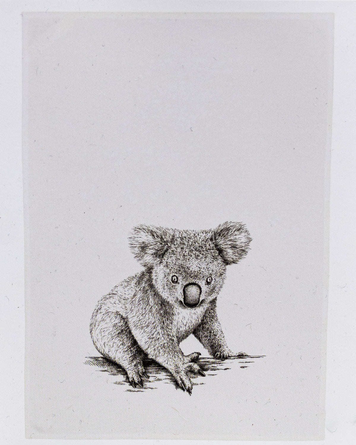 Geschirrtuch weiß - Koala Zeichnung