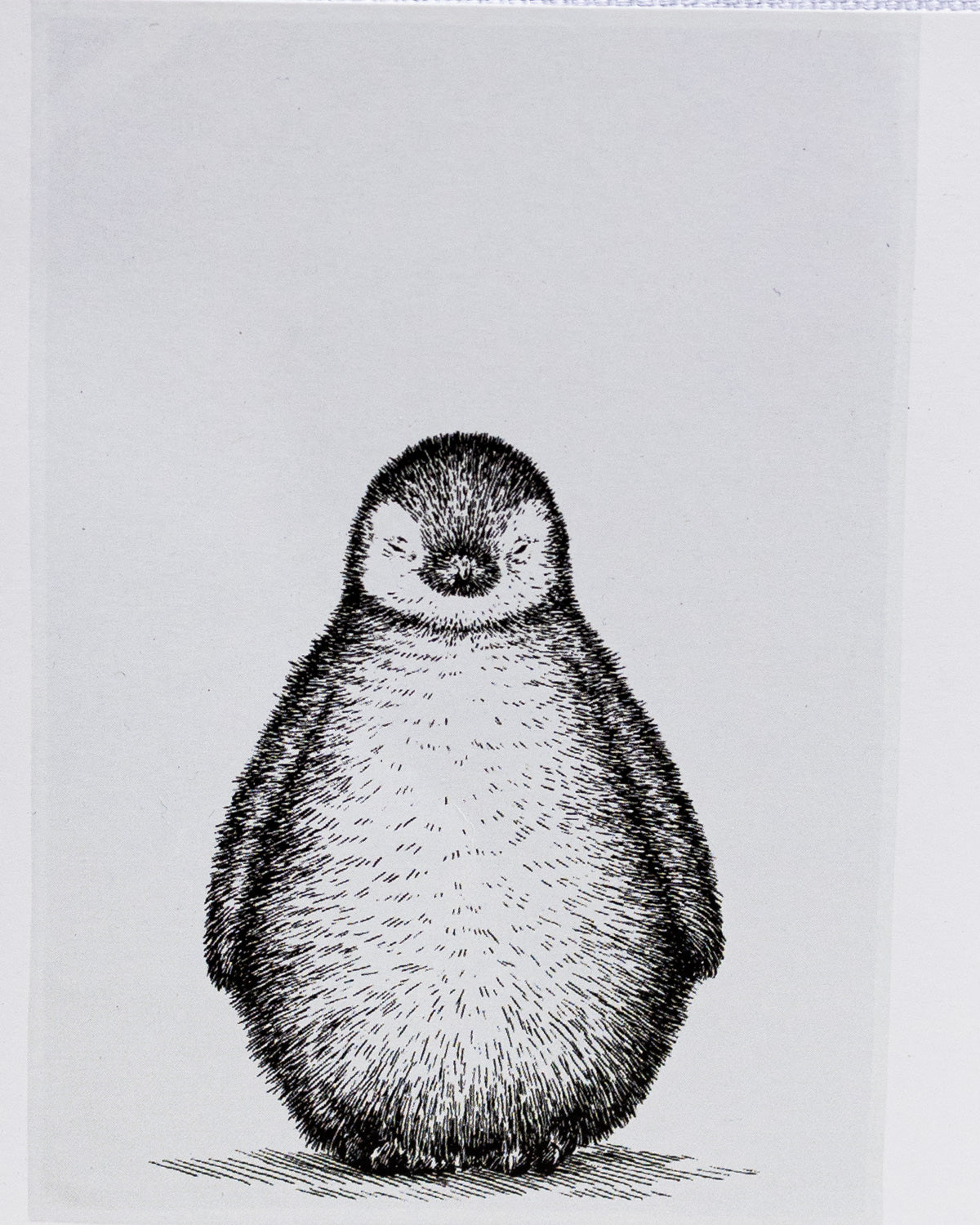 Geschirrtuch weiß - süßer Pinguin - Zeichnung