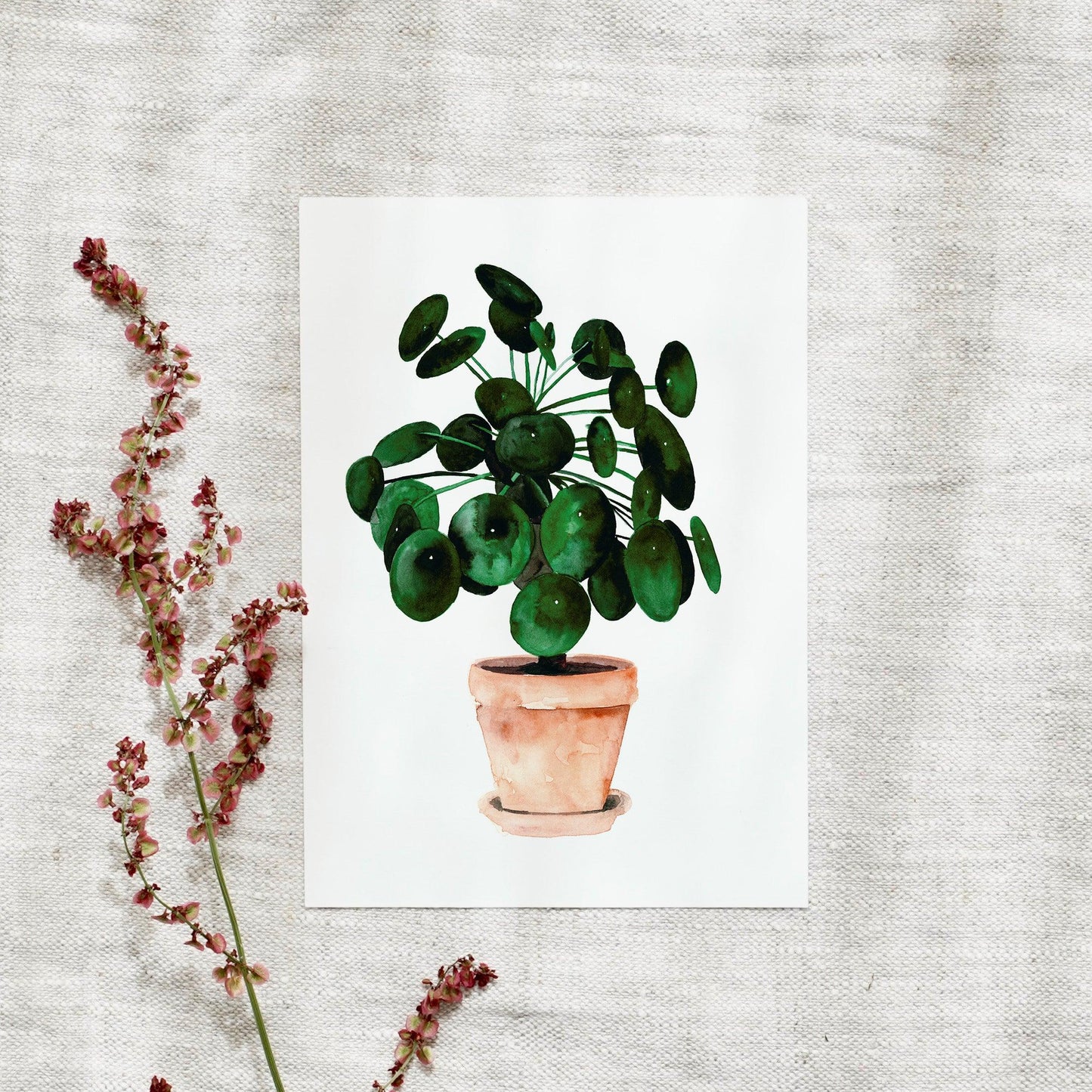 Postkarte - Pilea