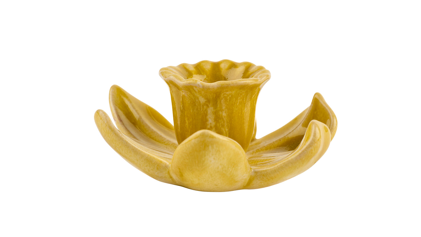 Kerzenhalter gelbe Blüte