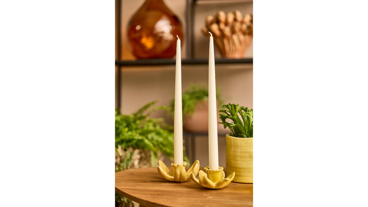 Kerzenhalter gelbe Blüte