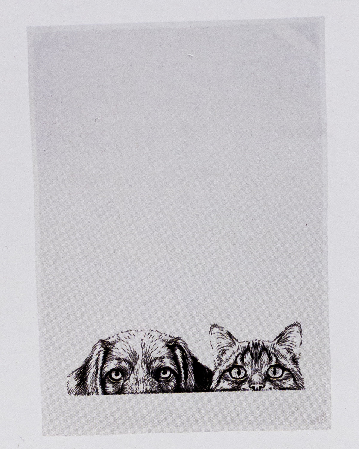 Geschirrtuch weiß - Hund und Katze