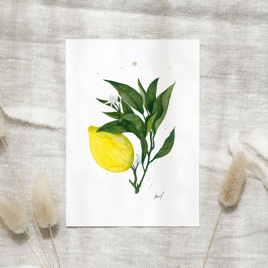 Postkarte - Lemon