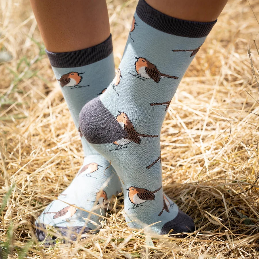 Miss Sparrow - Bambus Socken mit Motiv - Robins - Colour: Duck egg